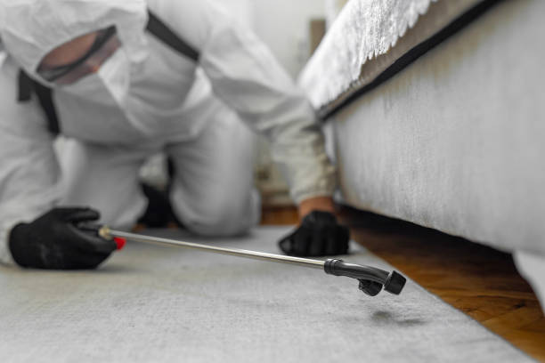 Professional Pest Control technician working in Gordon County County, GA
